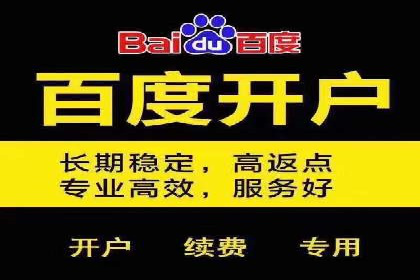 探究某某SEM公司如何通过精准投放实现销售增长